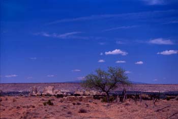 acoma15